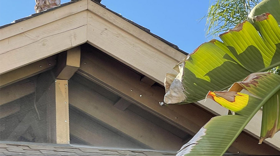 roof with netting to prevent birds from nesting carlsbad ca